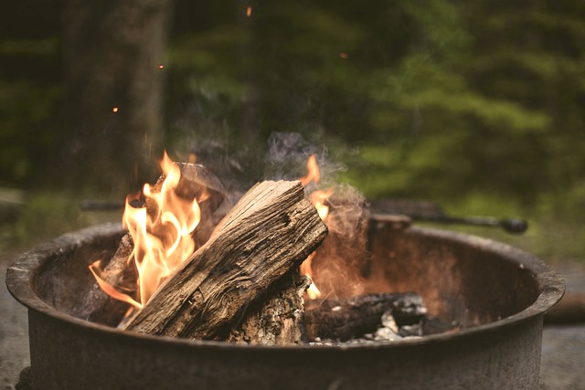A closeup of a campfire burning during the day surrounded by dense forest trees in the background.